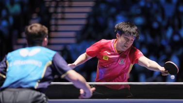 提供了新的 提供了新的