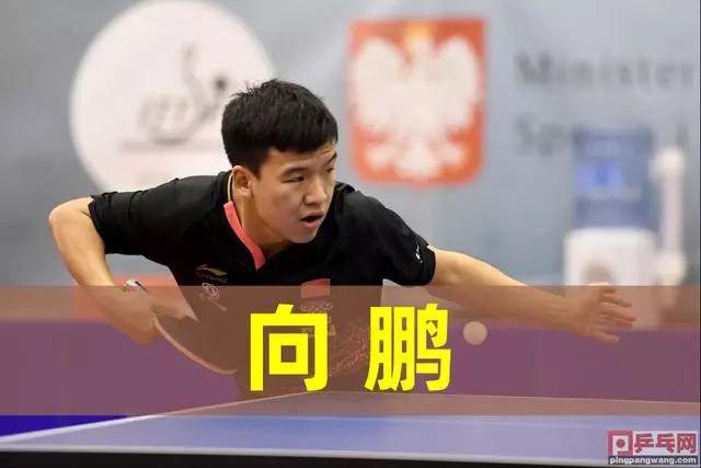 他留下的不 他留下的不